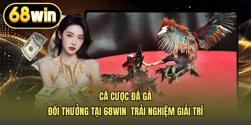 Cá Cược Đá Gà Đổi Thưởng Tại 68win – Trải Nghiệm Giải Trí