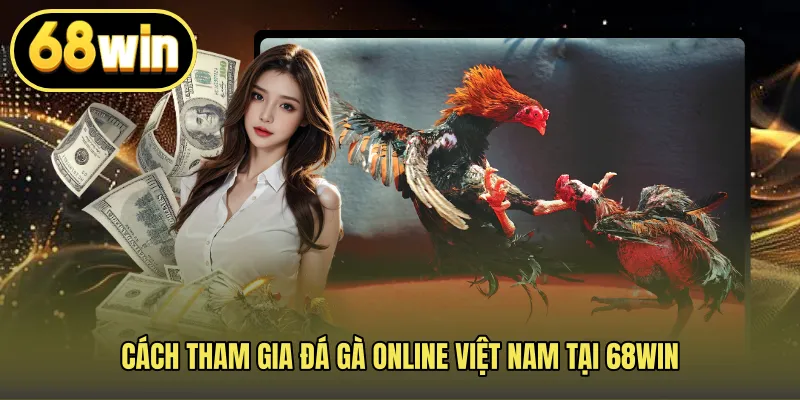 Cách tham gia đá gà online Việt Nam tại 68WIN