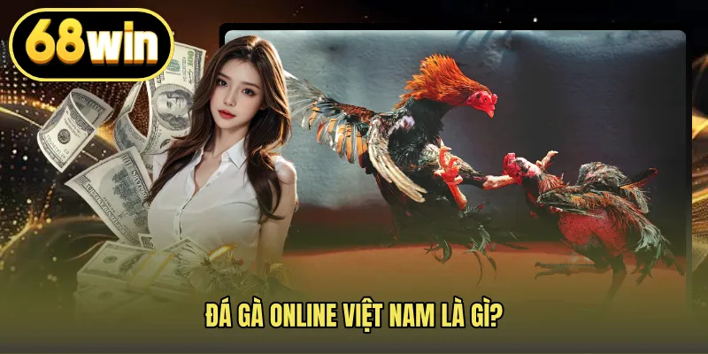 Đá gà online Việt Nam là gì