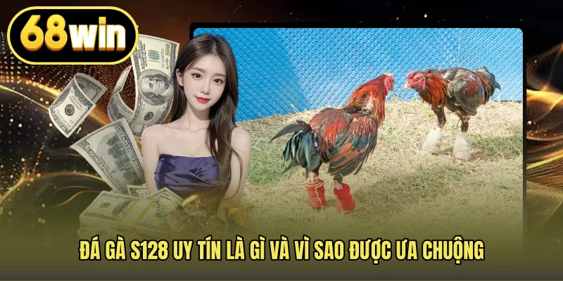 Đá gà S128 uy tín là gì và vì sao được ưa chuộng