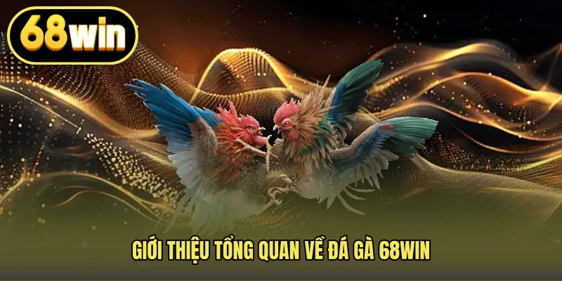 Giới Thiệu Tổng Quan Về Đá Gà 68WIN