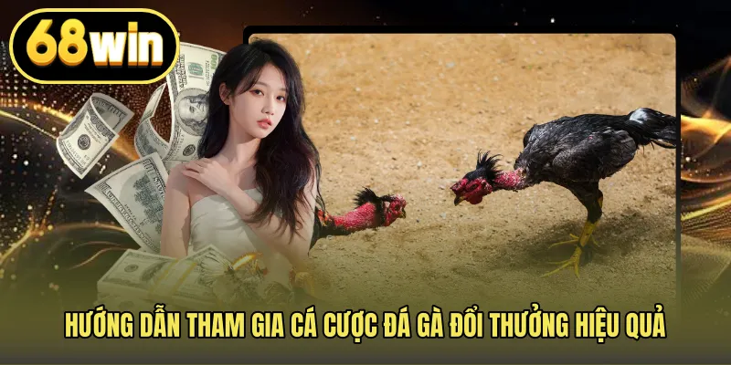 Hướng dẫn tham gia cá cược đá gà đổi thưởng hiệu quả