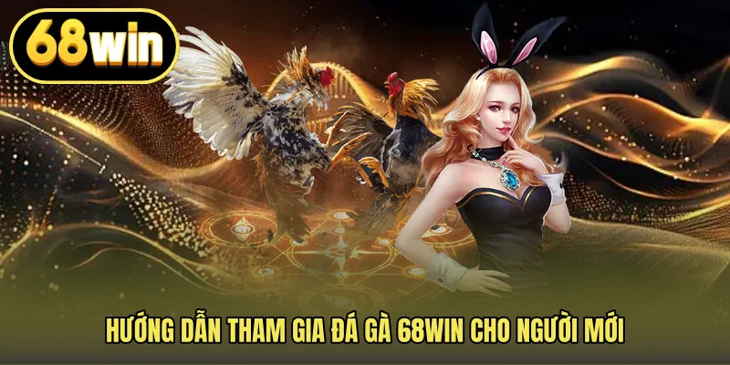 Hướng Dẫn Tham Gia Đá Gà 68WIN Cho Người Mới