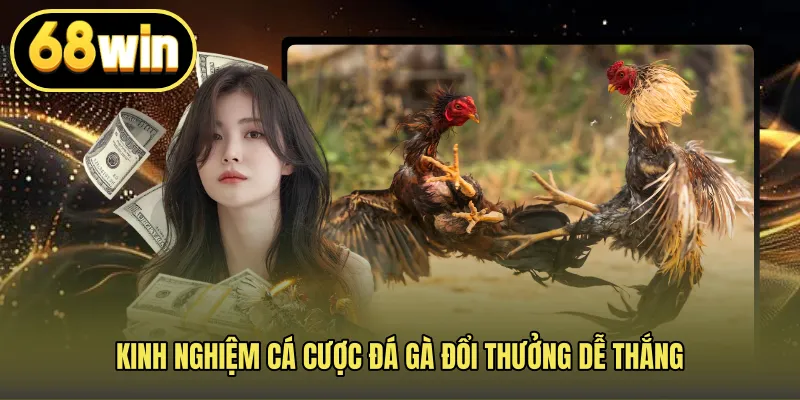 Kinh nghiệm cá cược đá gà đổi thưởng dễ thắng