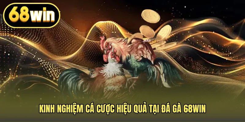 Kinh Nghiệm Cá Cược Hiệu Quả Tại Đá Gà 68WIN