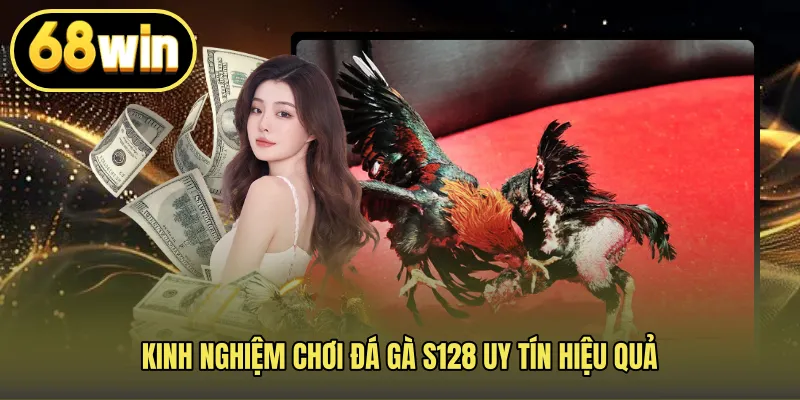 Kinh nghiệm chơi đá gà S128 uy tín hiệu quả